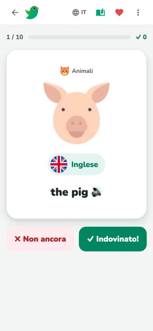 Flashcard: di' la parola, poi controlla